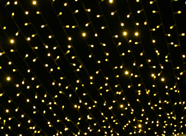 e0138031_7254278.jpg