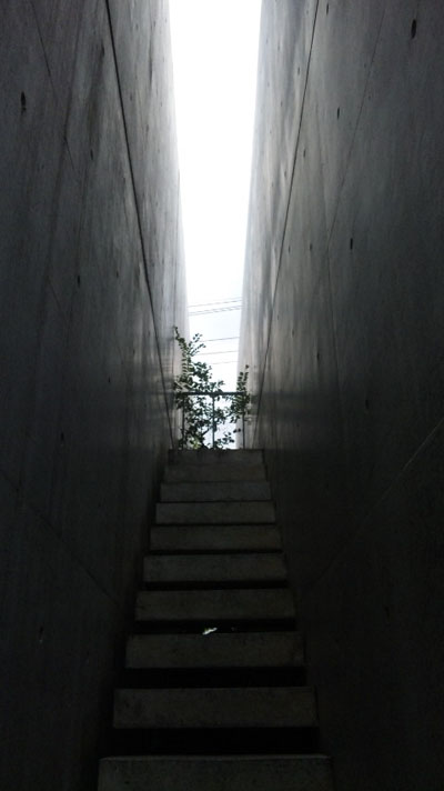 Tadao Ando.._b0181732_1423578.jpg