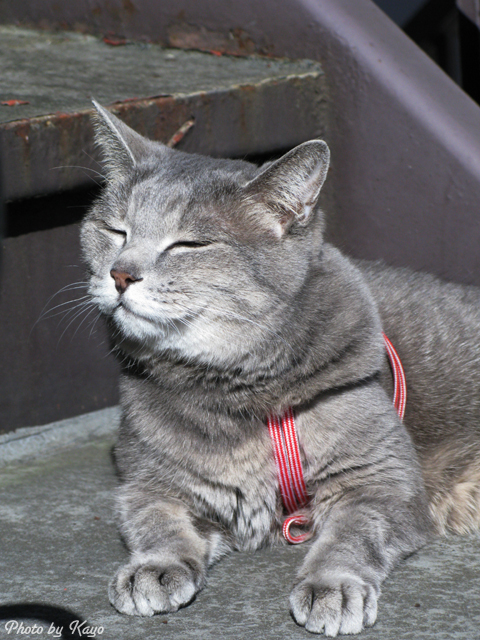 a0117440_12483746.jpg