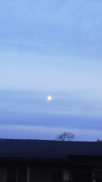 c0142045_7515728.jpg