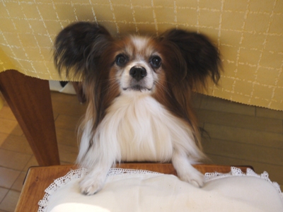 e0100046_2010024.jpg