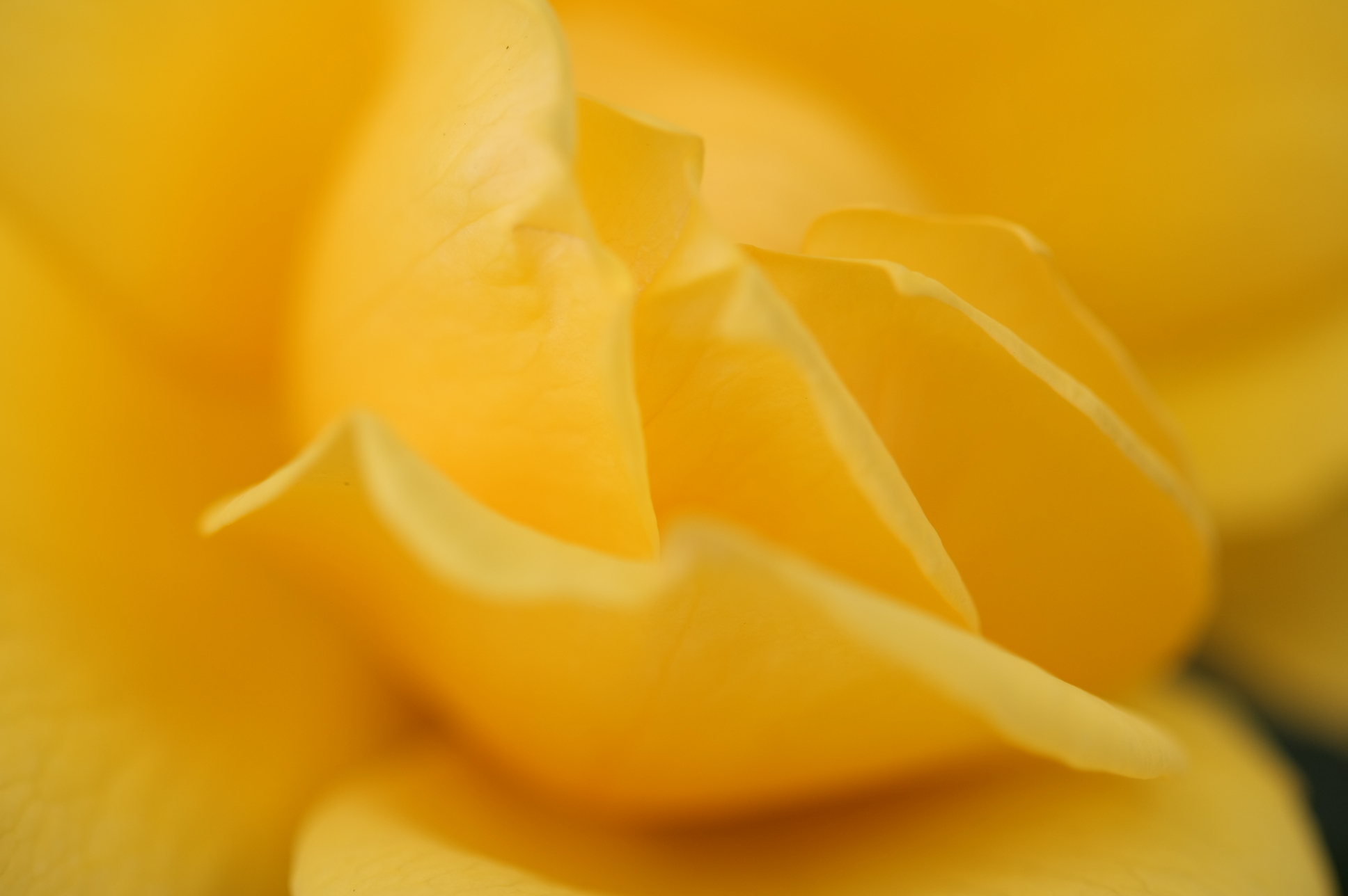 c0193648_922342.jpg