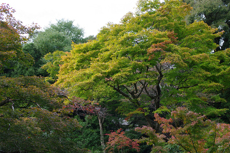 f0152550_2138858.jpg