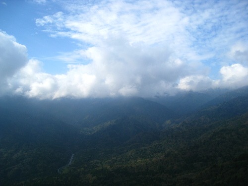 屋久島に癒される～_b0160957_619435.jpg