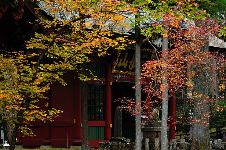 三峰神社 1 ~紅葉~_f0222161_1434236.jpg