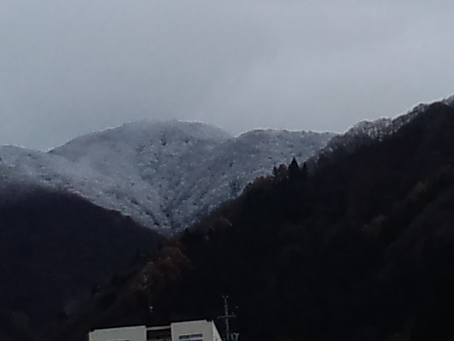 c0117062_1894227.jpg