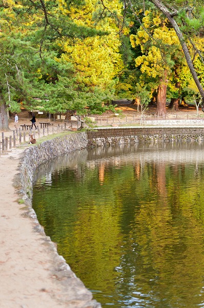 e0209962_12491.jpg