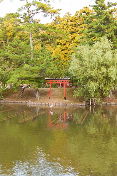 e0209962_13044.jpg