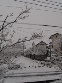 蟹三の冒険!☆冬の散歩道_a0044064_20514310.jpg