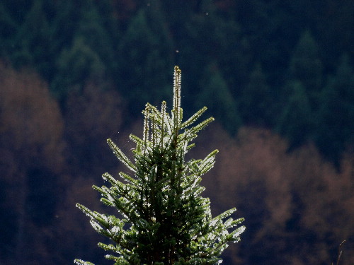f0208666_16372611.jpg