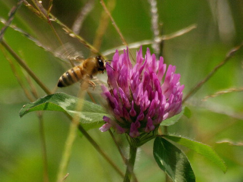 f0208666_16423032.jpg