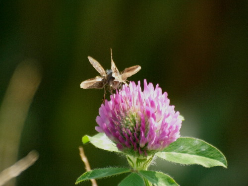 f0208666_1646638.jpg