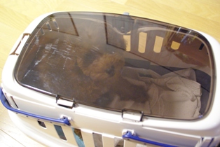 e0132172_00955.jpg