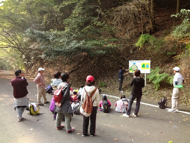 FANs７回目「古処山へ！ニシキキンカメムシを見つけよう！」_f0167672_12391818.jpg