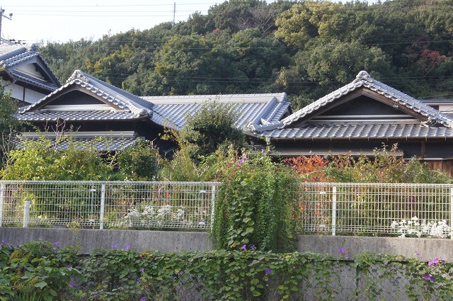 e0181373_20332481.jpg