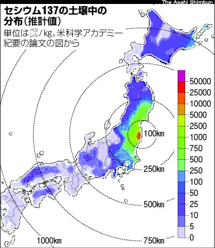 NHK「チェルノブイリ原発事故その10年後」 ネステレンコ教授パート書き起こし_c0139575_0153320.jpg