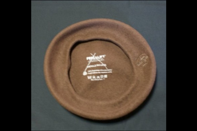 d0181776_19211780.png