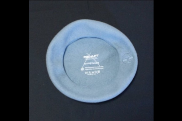 d0181776_1921529.png