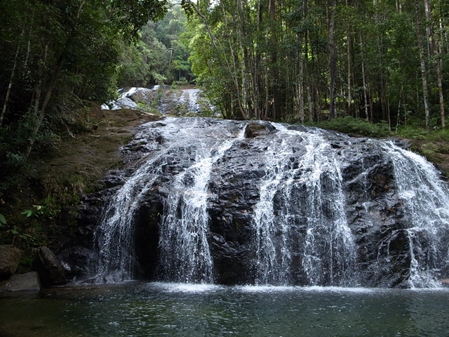 Air Terjun Resun Pulau LINGGA【AZ1011-1】 : ホシクサと