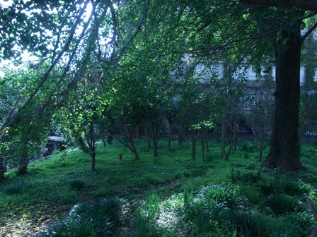 e0251278_13282661.jpg