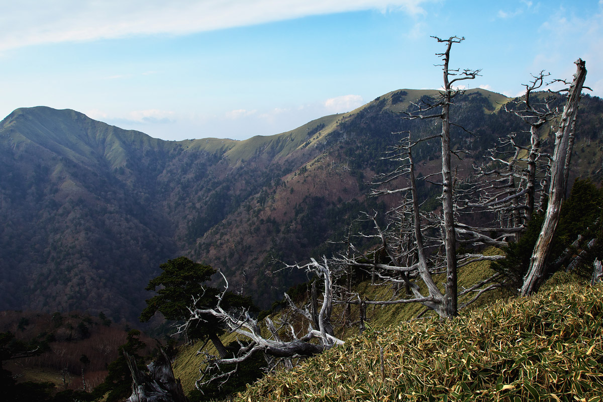 槍戸山(やりとやま)標高1，820m_a0141586_8563336.jpg