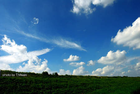 d0085887_1352452.jpg