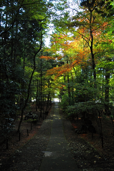 常照皇寺_e0051888_2210555.jpg