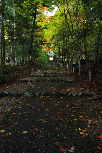 常照皇寺_e0051888_2231455.jpg
