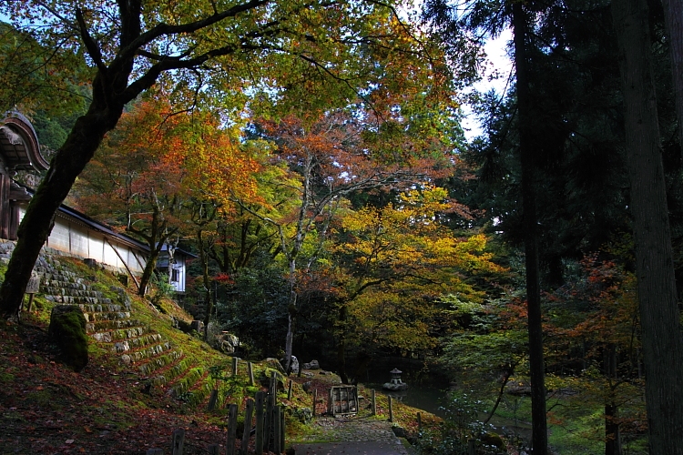 常照皇寺_e0051888_2252588.jpg