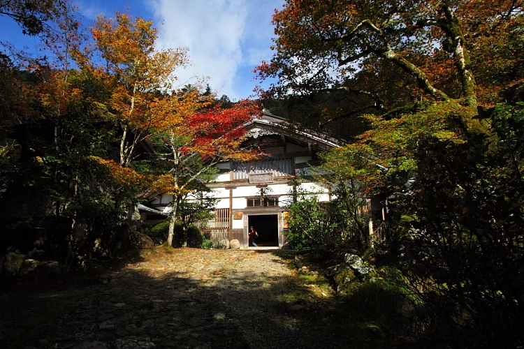 常照皇寺_e0051888_2263510.jpg