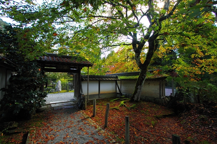 常照皇寺_e0051888_2271964.jpg