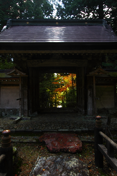 常照皇寺_e0051888_229030.jpg