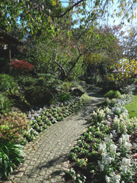 b0142989_19272830.jpg