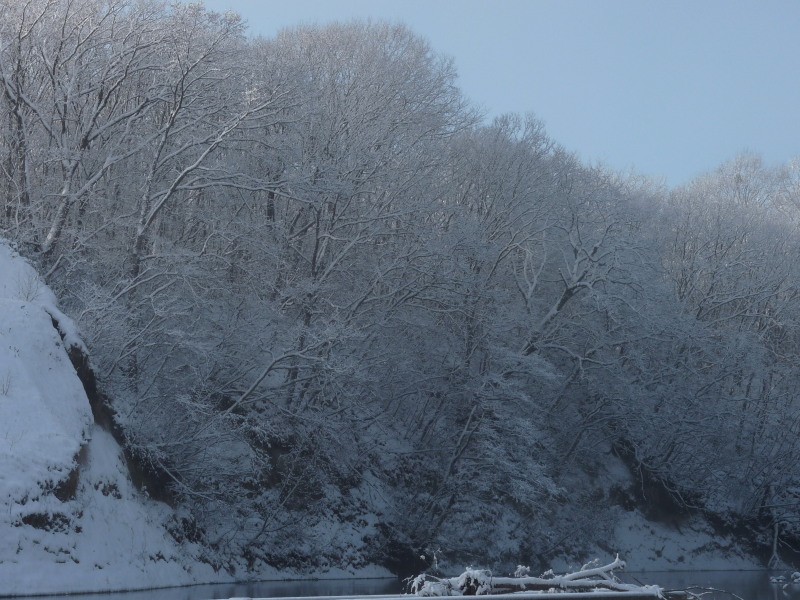 b0203989_21354446.jpg