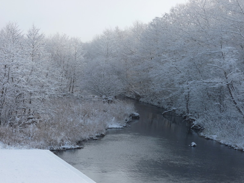 b0203989_21355898.jpg