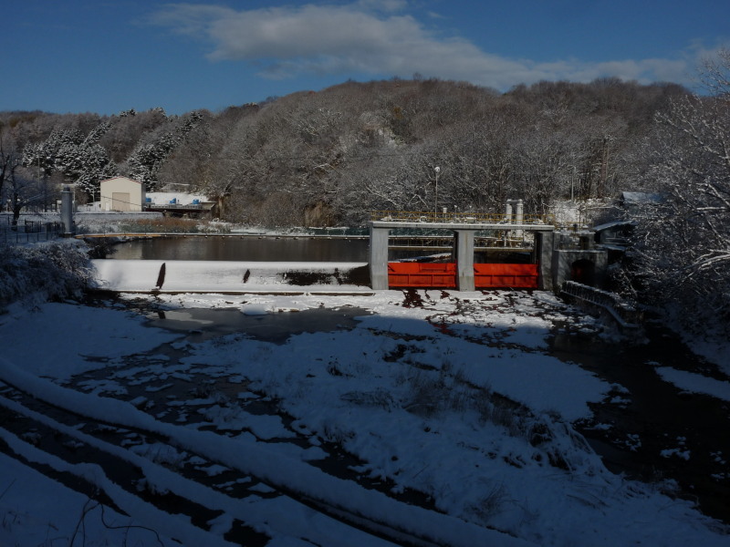 b0203989_21403911.jpg