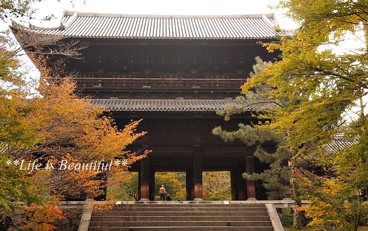 c0156789_19411265.jpg