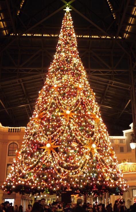 Tokyo Disneyland スターブライトクリスマス Buono Buono Tokyo Disneyland スターブライトクリスマス Buono Buono