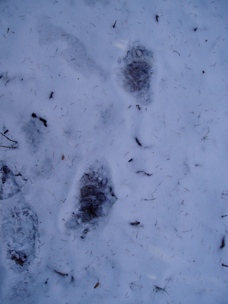 f0221693_21524136.jpg
