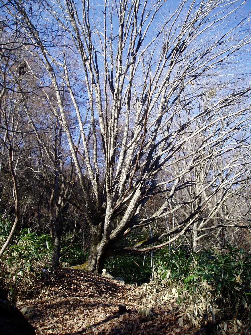 f0221693_21551011.jpg