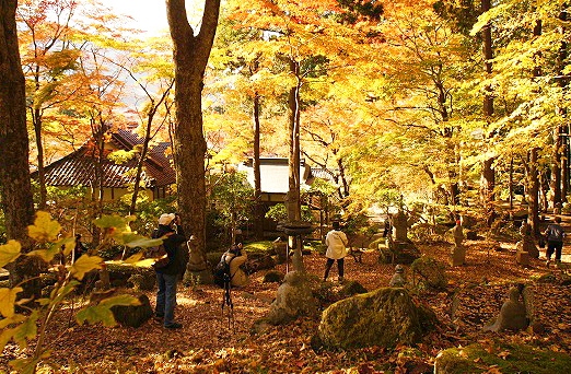 箱根 長安寺の紅葉 エーデルワイスブログ