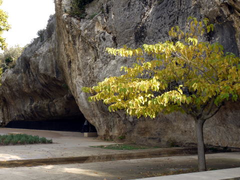 c0090198_3252025.jpg