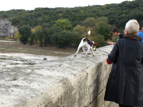 c0090198_3284297.jpg