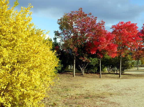 c0090198_3392685.jpg