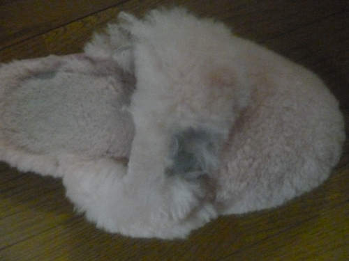 e0203499_1031616.jpg