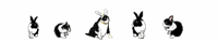 d0028304_14351760.gif