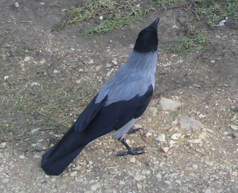 a0230008_4413266.jpg