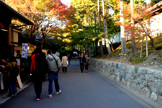 東福寺 紅葉のはじめ_e0048413_22353861.jpg