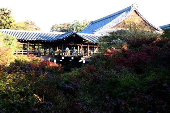 東福寺 紅葉のはじめ_e0048413_22355245.jpg