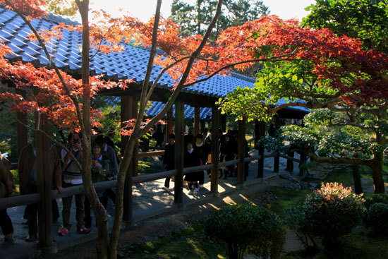 東福寺 紅葉のはじめ_e0048413_22361649.jpg
